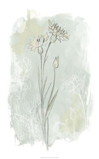 Stone Flower Study I