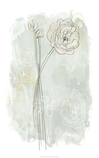 Stone Flower Study III