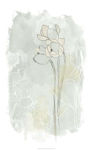 Stone Flower Study IV