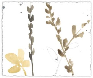 Branch Contours VIII