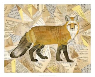 Red Fox Collage I