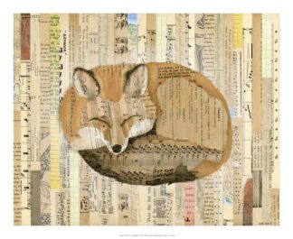 Red Fox Collage III