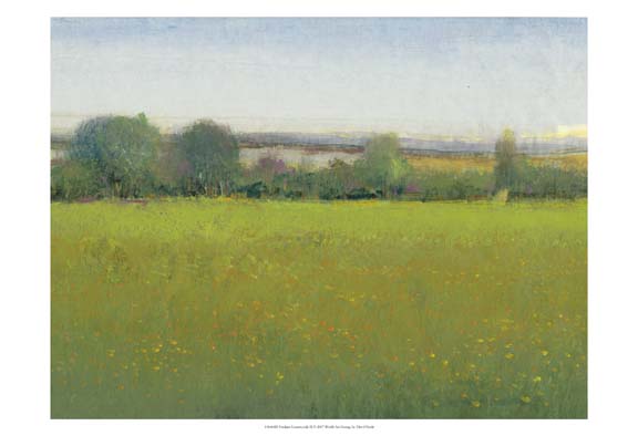 Verdant Countryside II