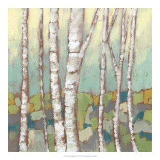 Kaleidoscope Birches II
