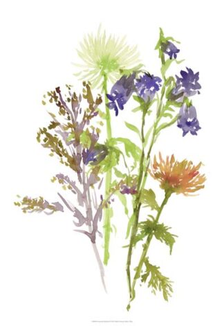 Summertime Daydream II