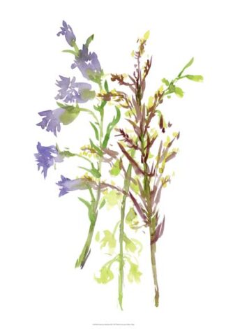 Summertime Daydream III