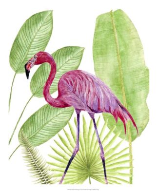 Tropical Flamingo I