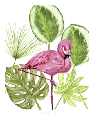 Tropical Flamingo II