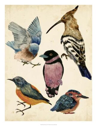 Bird Collection I