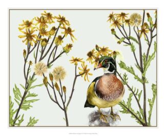 Old Man in the Spring I