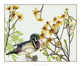 Old Man in the Spring II