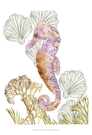 Undersea Creatures II