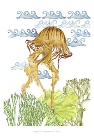 Undersea Creatures IV