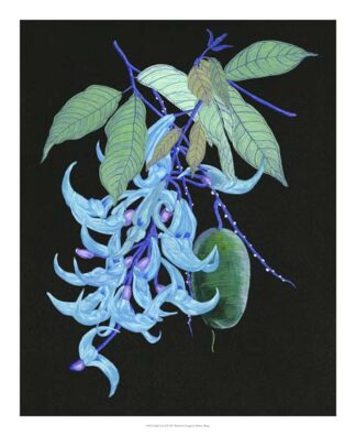 Jade Vine II