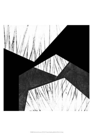 Orchestrated Geometry VII