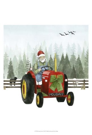 Country Santa I