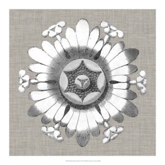 Neutral Rosette Detail V