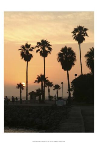 Photography/Landscape 122