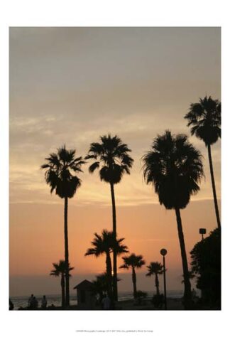 Photography/Landscape 123