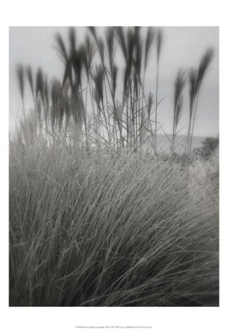 Photography/Landscape 180