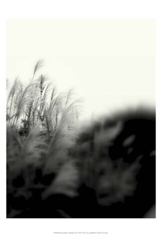 Photography/Landscape 181