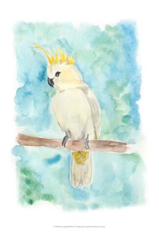 Sweet Tropical Bird II