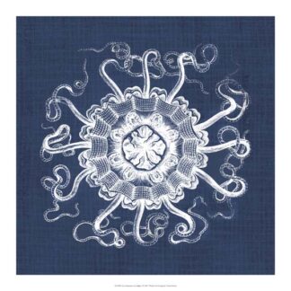 Sea Anemone on Indigo I