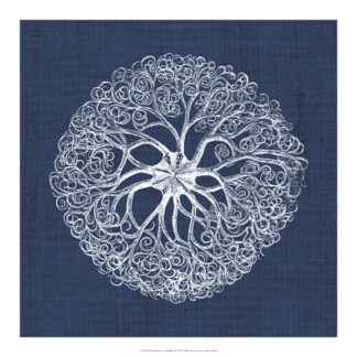 Sea Anemone on Indigo II