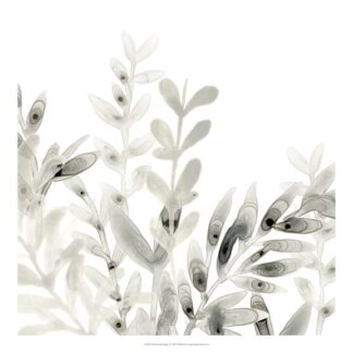 Watermark Foliage I