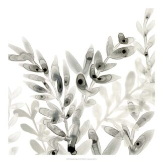 Watermark Foliage II