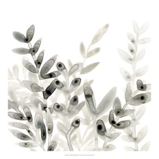 Watermark Foliage III