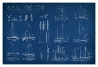 Sailing Infograph