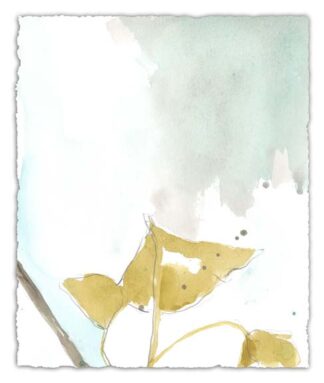 Ginkgo on Dusty Teal III
