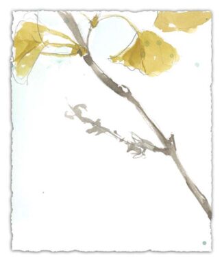 Ginkgo on Dusty Teal VI