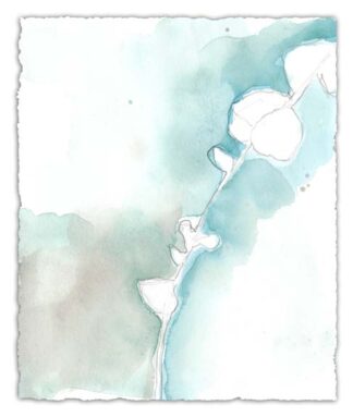 Ginkgo on Dusty Teal VII