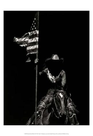 Scratchboard Rodeo VI