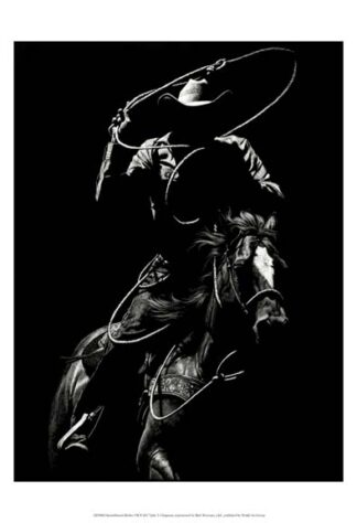 Scratchboard Rodeo VII