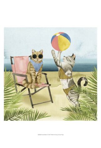 Coastal Kitties I