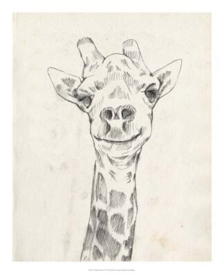 Giraffe Portrait I