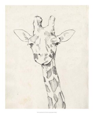 Giraffe Portrait II