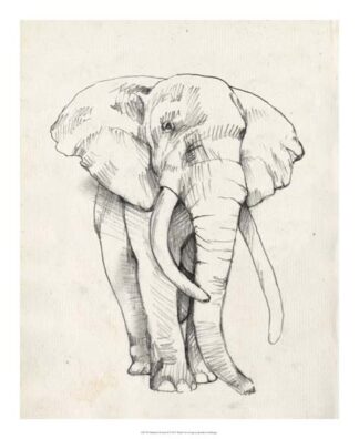 Elephant Portrait II