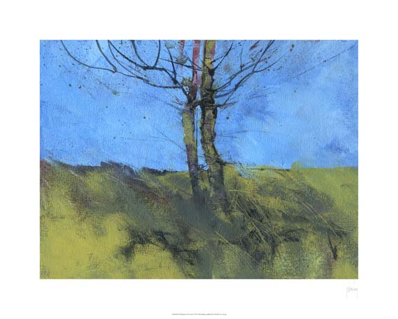 Heathland Tree Study