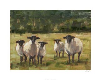Sheep Family I