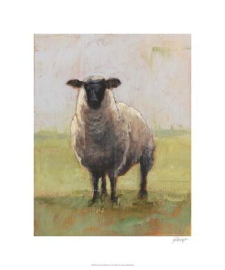 Away from the Flock I