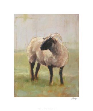 Away from the Flock II