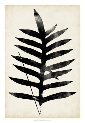 Fern Silhouette III