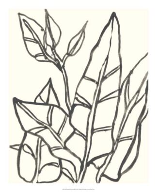 Tropical Contour III