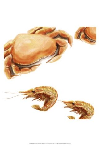 Illustrated Crab