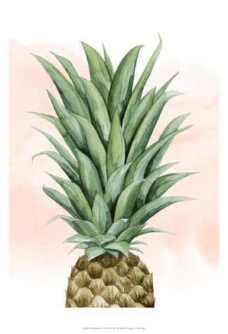 Pineapple on Coral II