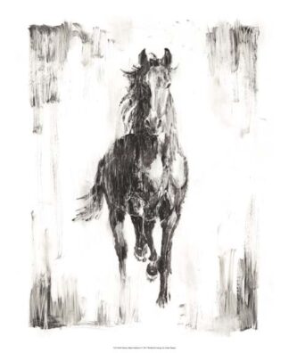 Rustic Black Stallion I